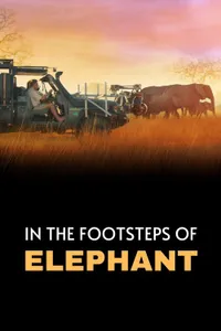 In the Footsteps of Elephant izle