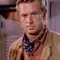 Sterling Hayden filmleri