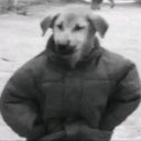 Aybebe adlı kullanıcı