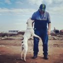 hnesedenyana adlı kullanıcı