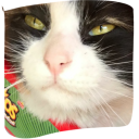 sakeroebuck78 adlı kullanıcı